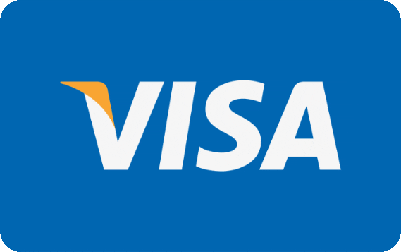 Visa Payment